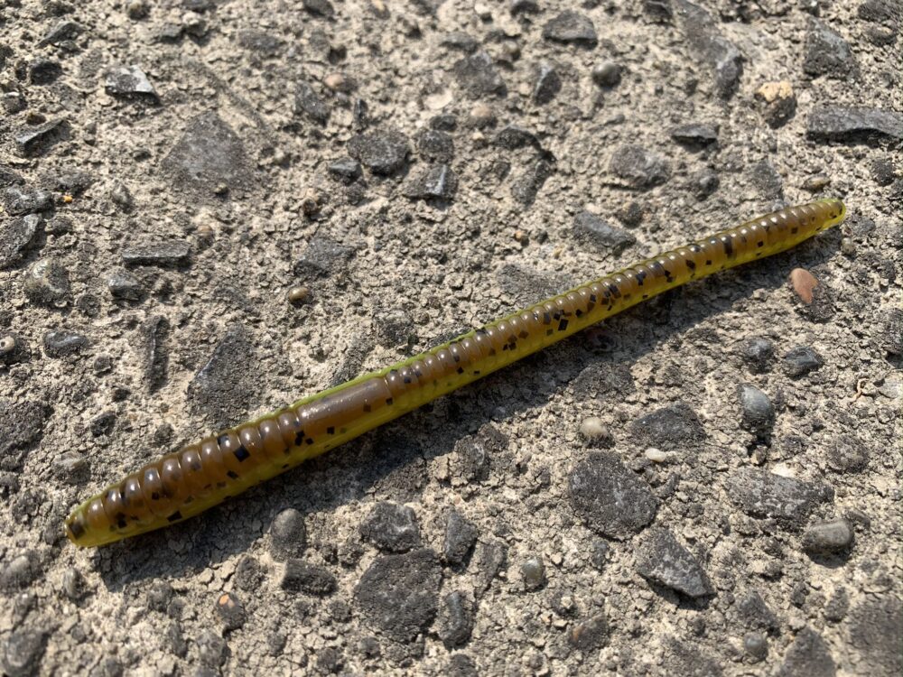 ZOOM】フィネスワーム【インプレ】 | なんでもかんでも