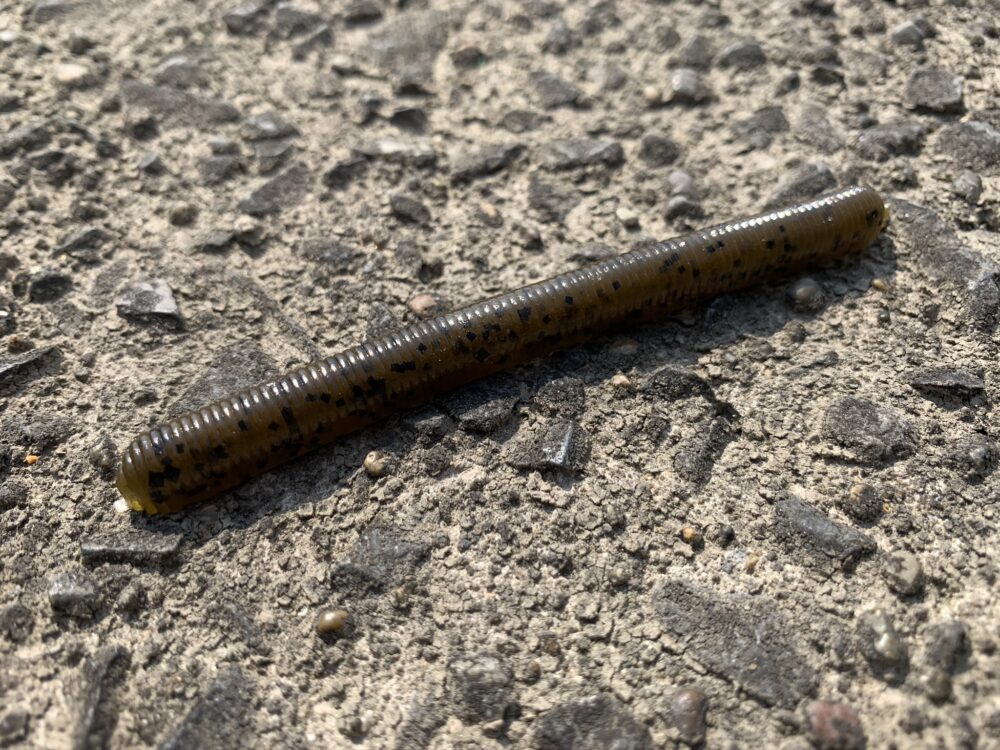Zoomフィッシュドクター約240本 12カラー フィッシュドクター 【Zoom】 水中アクション映像 FISH DOCTOR