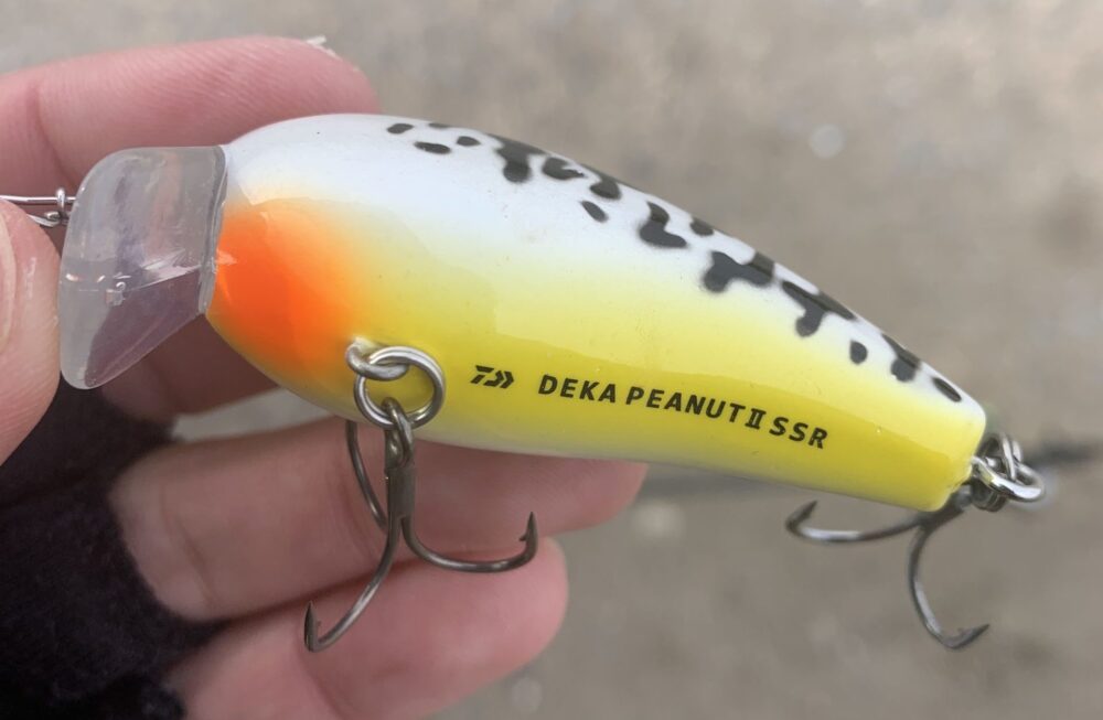 デカピーナッツチャレンジ冬 Day3 4 なんでもかんでも